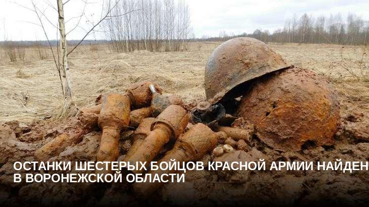 Останки шестерых бойцов Красной армии найдены в Воронежской области