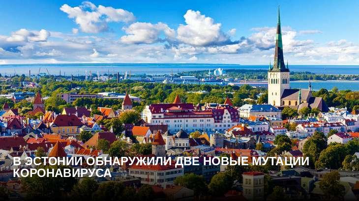 В Эстонии обнаружили две новые мутации коронавируса