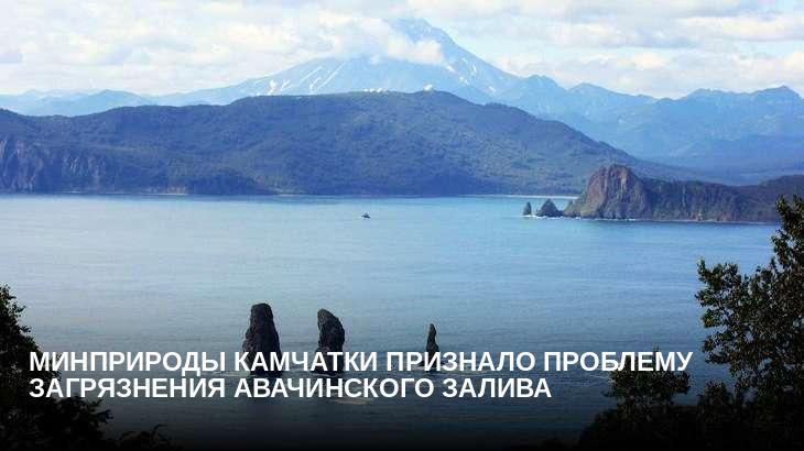 Минприроды Камчатки признало проблему загрязнения Авачинского залива