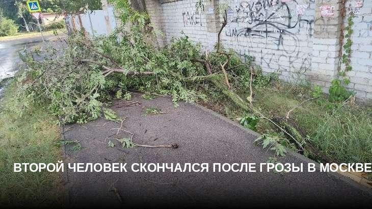 Второй человек скончался после грозы в Москве 