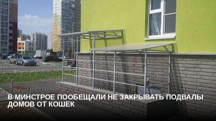 В Минстрое пообещали не закрывать подвалы домов от кошек
