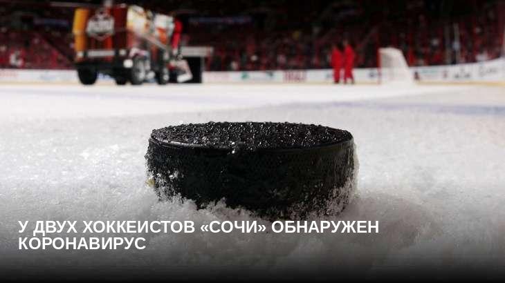 У двух хоккеистов «Сочи» обнаружен коронавирус