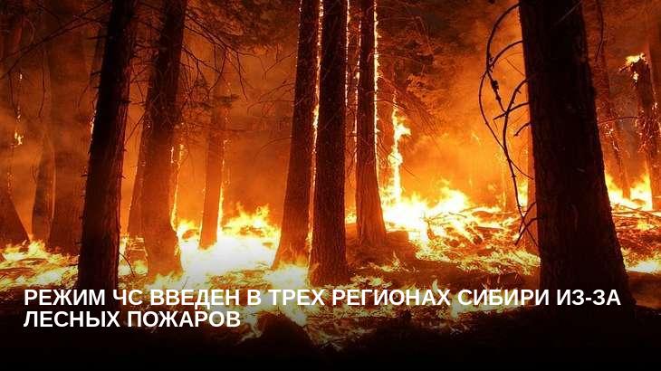 Режим ЧС введен в трех регионах Сибири из-за лесных пожаров