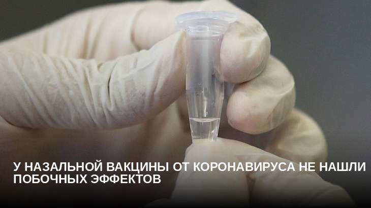 У назальной вакцины от коронавируса не нашли побочных эффектов