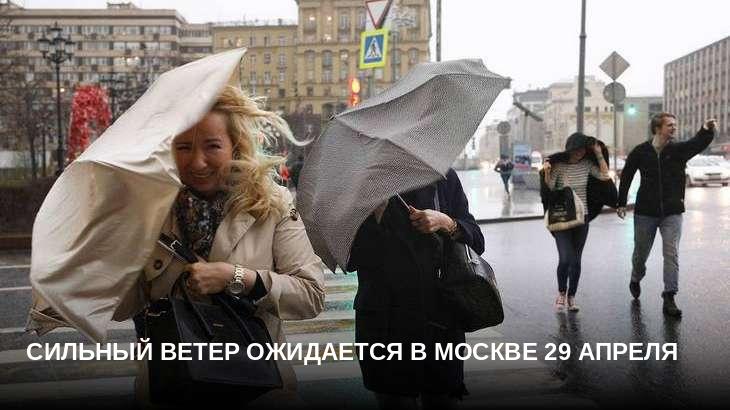 Сильный ветер ожидается в Москве 29 апреля 