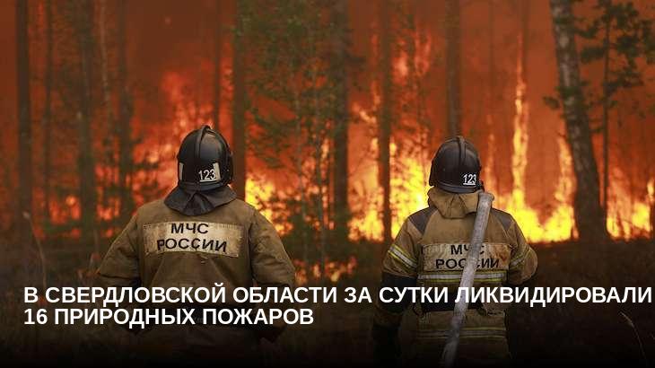 В Свердловской области за сутки ликвидировали 16 природных пожаров