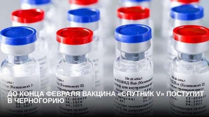 До конца февраля вакцина «Спутник V» поступит в Черногорию