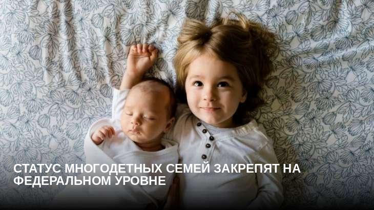 Статус многодетных семей закрепят на федеральном уровне