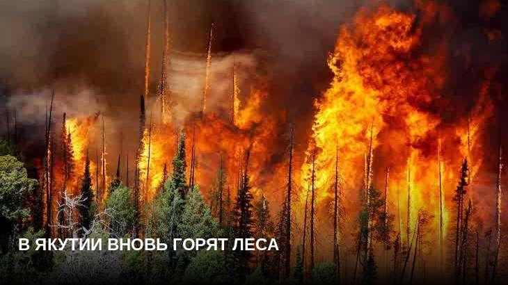 В Якутии вновь горят леса