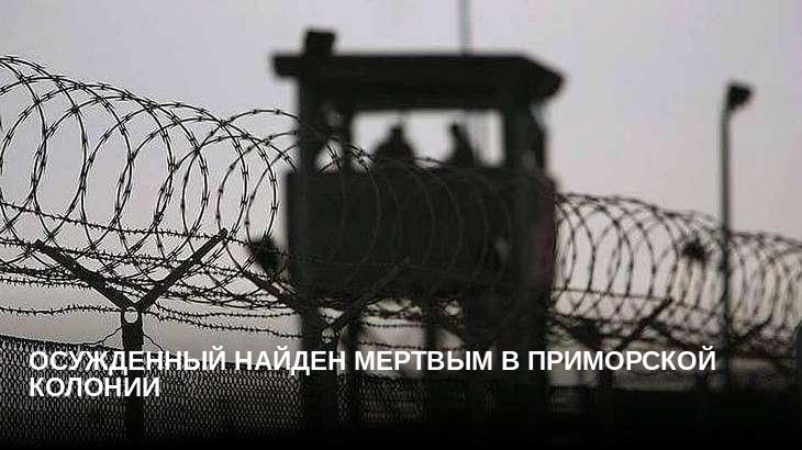 Осужденный найден мертвым в приморской колонии
