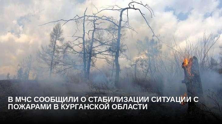 В МЧС сообщили о стабилизации ситуации с пожарами в Курганской области