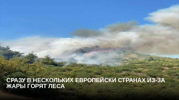 Сразу в нескольких европейски странах из-за жары горят леса 