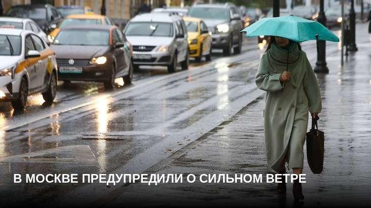 В Москве предупредили о сильном ветре