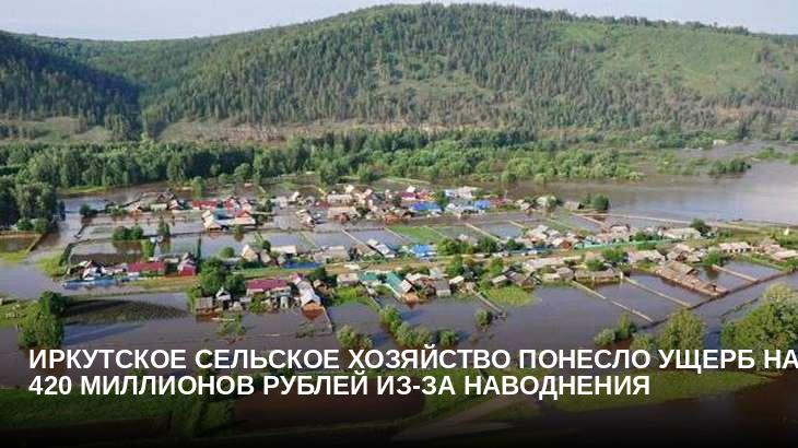 Иркутское сельское хозяйство понесло ущерб на 420 миллионов рублей из-за наводнения