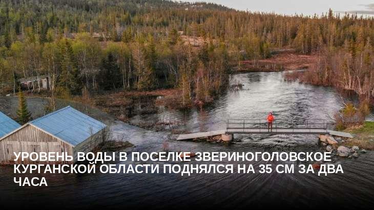 Уровень воды в поселке Звериноголовское Курганской области поднялся на 35 см за два часа