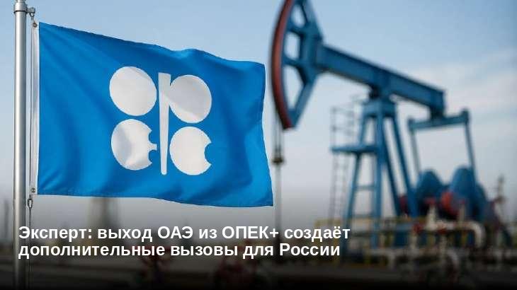 Эксперт: выход ОАЭ из ОПЕК+ создаёт дополнительные вызовы для России