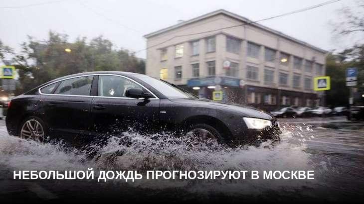 Небольшой дождь прогнозируют в Москве