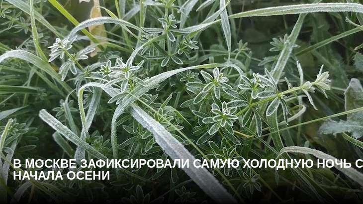 В Москве зафиксировали самую холодную ночь с начала осени
