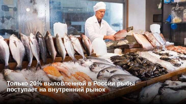 Только 20% выловленной в России рыбы поступает на внутренний рынок