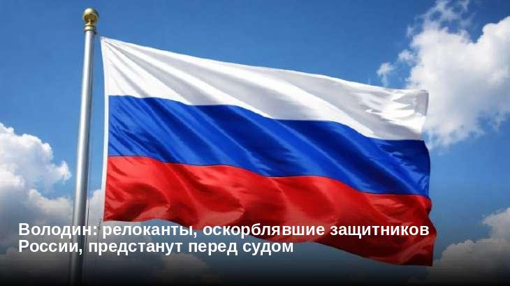 Володин: релоканты, оскорблявшие защитников России, предстанут перед судом