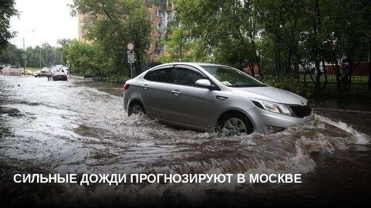 Сильные дожди прогнозируют в Москве