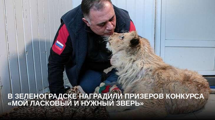 В Зеленоградске наградили призеров конкурса «Мой ласковый и нужный зверь»