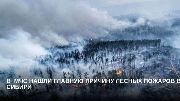 В  МЧС нашли главную причину лесных пожаров в Сибири