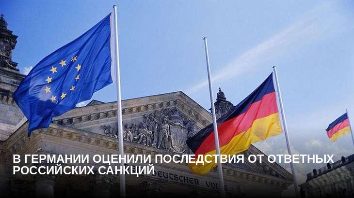 В Германии оценили последствия от ответных российских санкций