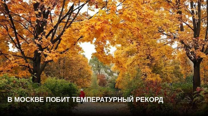 В Москве побит температурный рекорд 